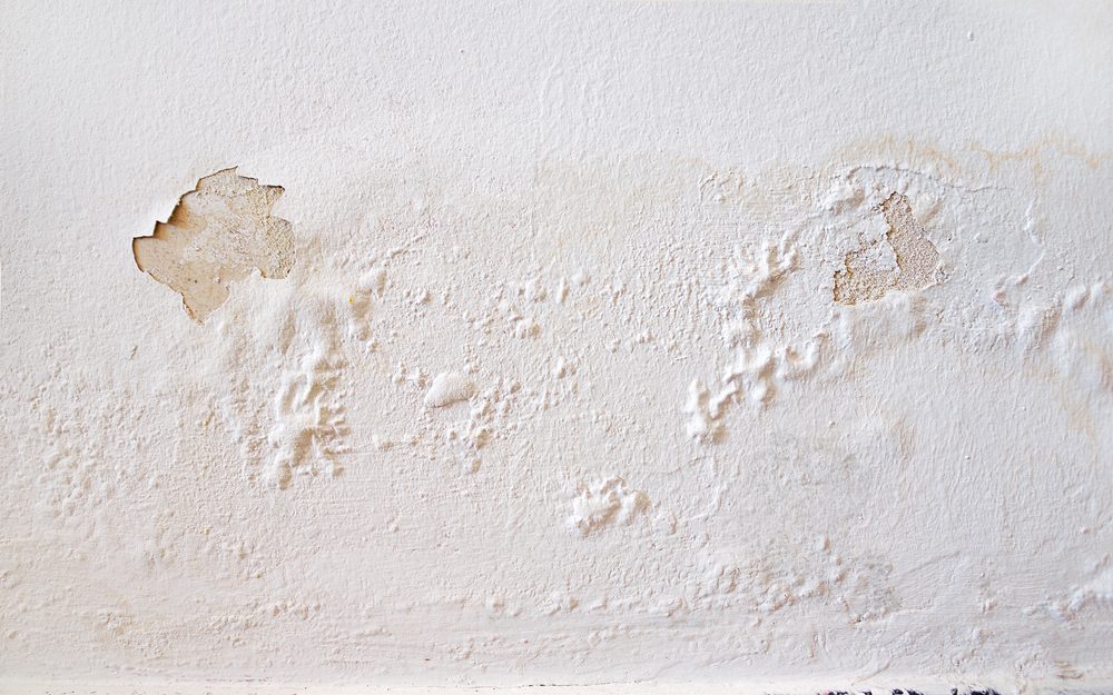 Damp wall with paint blistering