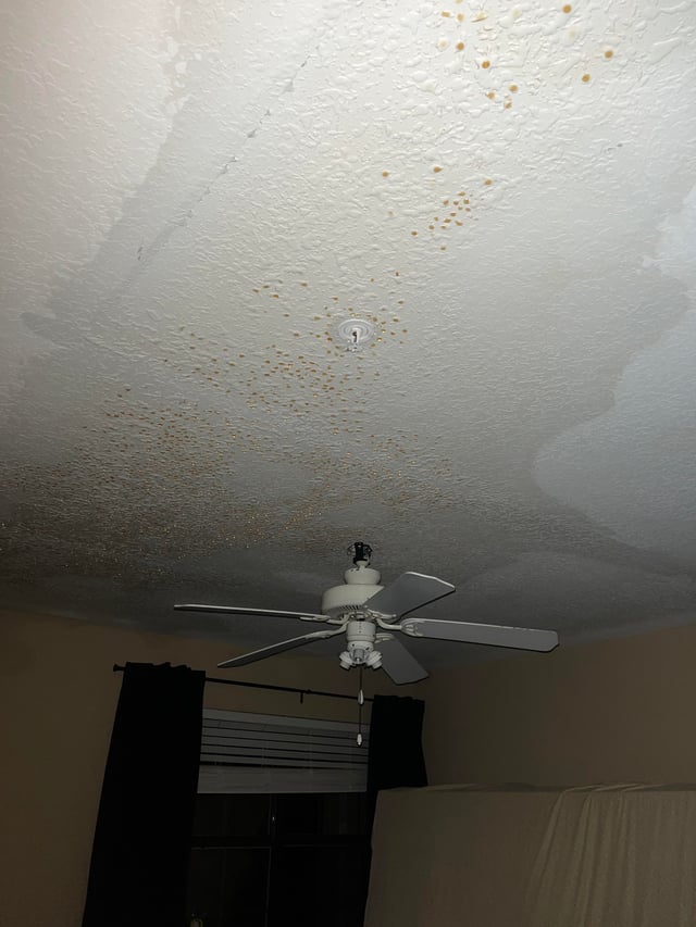 Apartment ceiling water damage